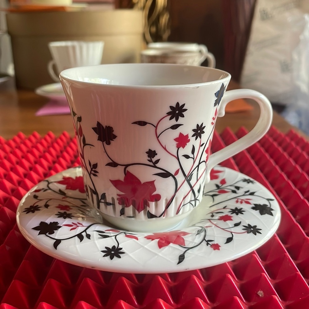 FINE PORCELAIN TEACUP AND SAUCER IN RED & BLACK